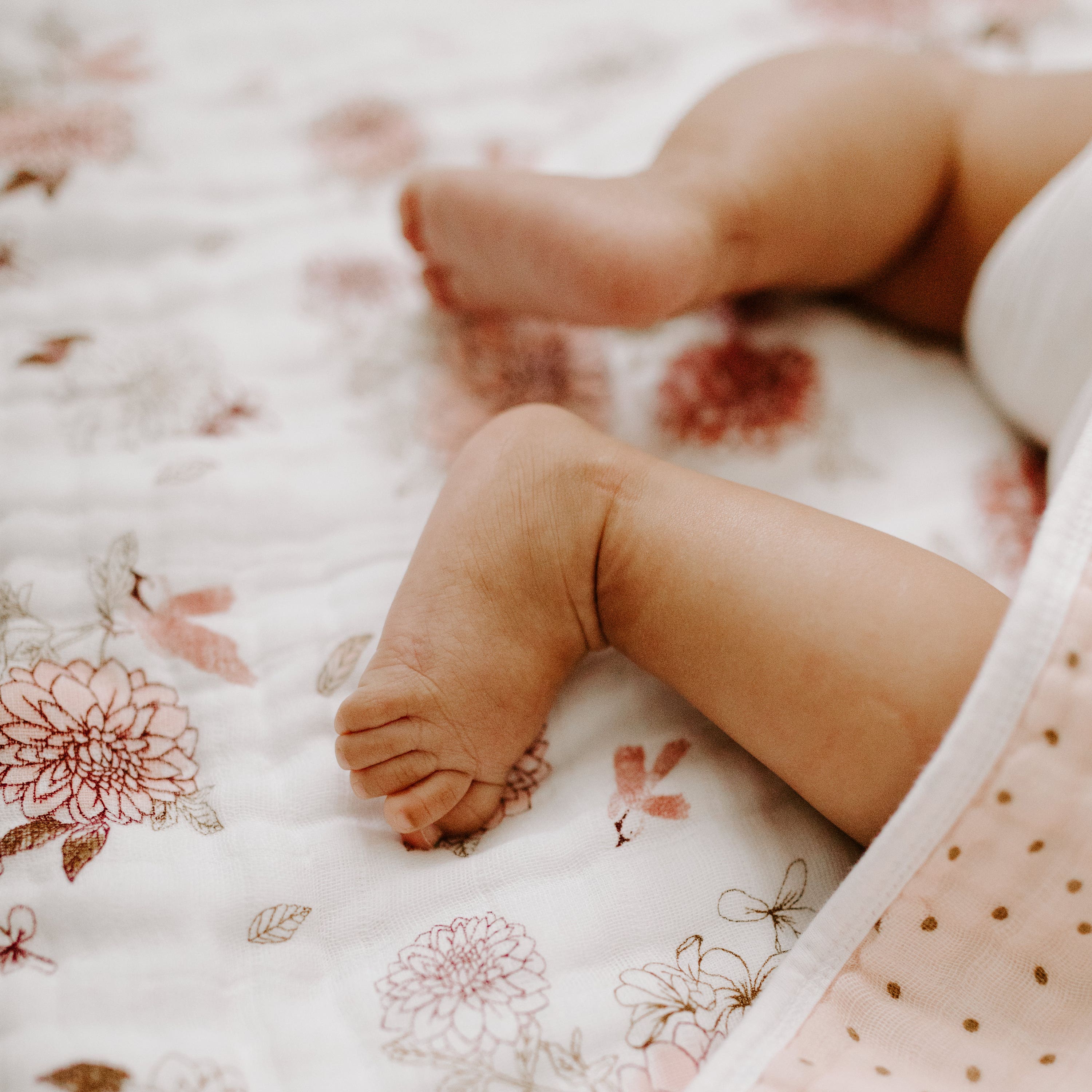 aden-anais-boutique-cotton-muslin-dream-blanket-oversized-grande-couverture-b-b- image 4